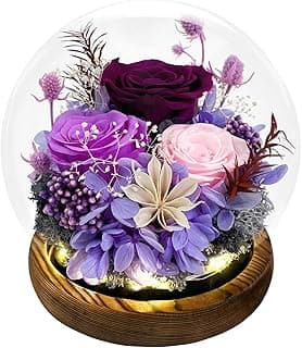 FIACO Mothers Day Flowers Gifts for Mom Flowers for Delivery Prime Birthday Gifts for Women Grandma Gifts Forever Preserved Fresh Eternal Rose in Glass Dome for Girlfriend Wife Her