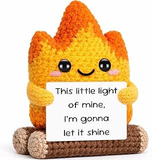 Graduation Gift for Her Him, Handmade Crochet Flame Fire, This Little Light of Mine I'm Gonna Let It Shine, Encouragement Motivational Decor, Mental Health Gift for Recovery Teachers Coworkers Boss