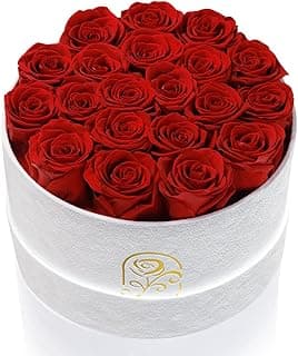 Gifts for Women Preserved Roses Flower Box, Luxury Velvet Box with 20 Roses, Preserved Flowers, Romantic Gift for Her, Wife, Girlfriend, Birthday Anniversary Christmas (Red)