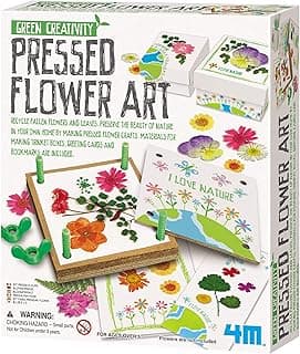 4M Green Creativity Pressed Flower Art Kit, Recycle Flowers Art & Crafts DIY Kit, For Boys & Girls Ages 5+