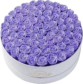 Prifroti 75 Preserved Roses in Suede Box – Luxury Rose Flower Arrangement, Preserved Flowers Gifts for Women, Wife or Mom – Birthday, Anniversary, Valentine’s Day, Mother's Day (Lavender)